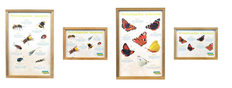infopanelen insecten en vlinders