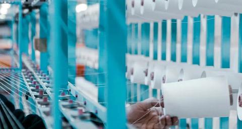 Plaagdierbeheersing veelvoorkomende plagen textielindustrie