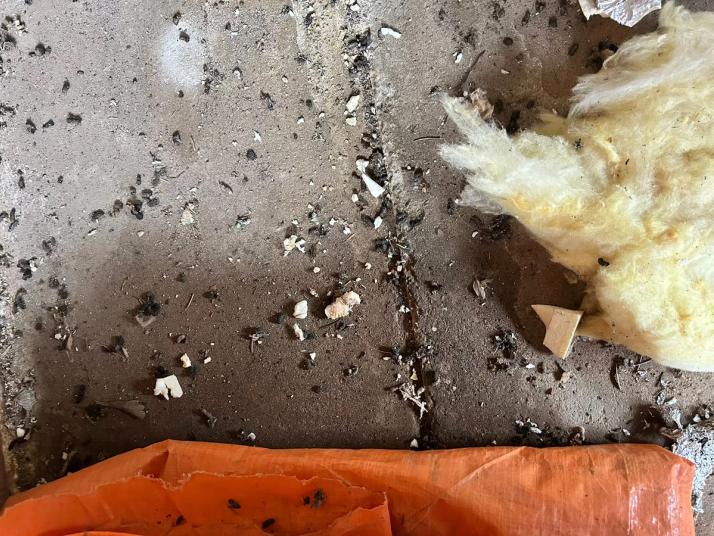 nestmateriaal voor ongedierte