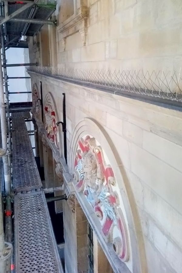Scaffolding next to a light-colored stone building with decorative archways and bird deterrent spikes on a ledge.
