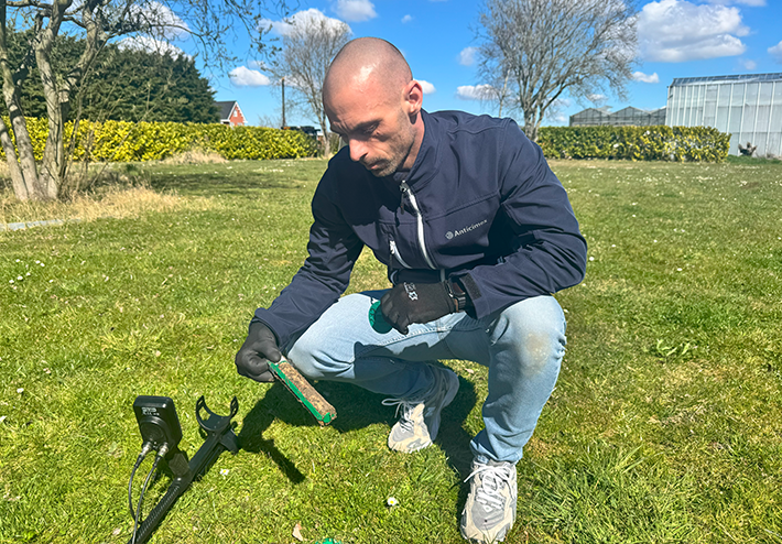 Termieten inspectie in de tuin