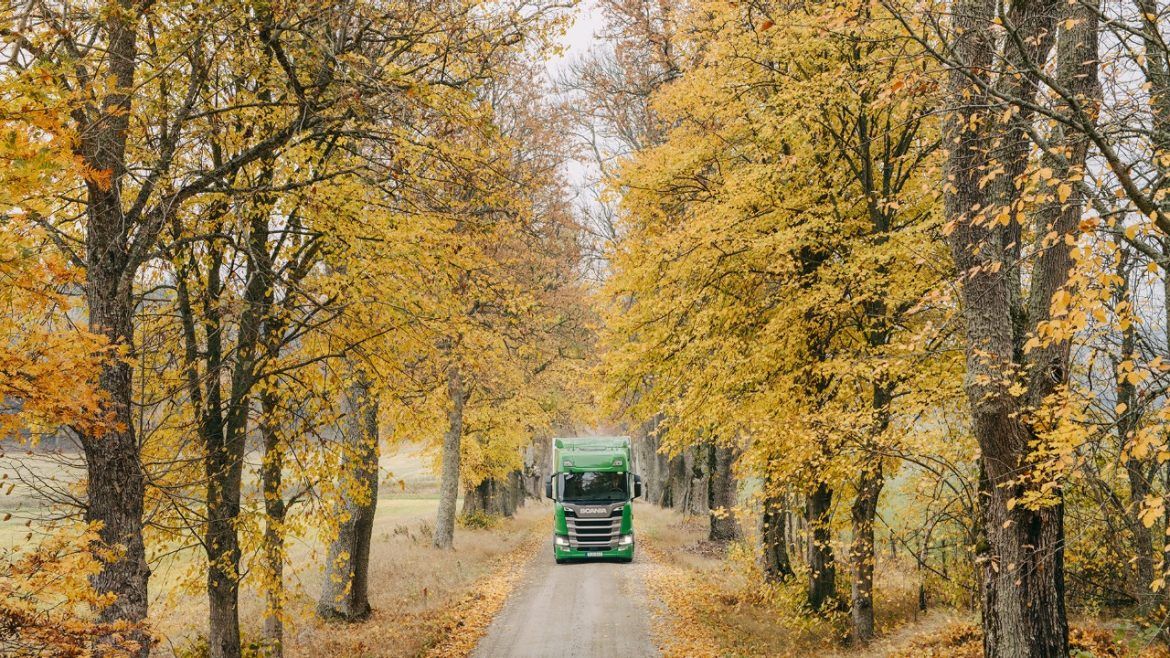 Ongedierte in vrachtwagens en bussen van Scania voorkomen