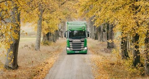 Ongedierte in vrachtwagens en bussen van Scania voorkomen
