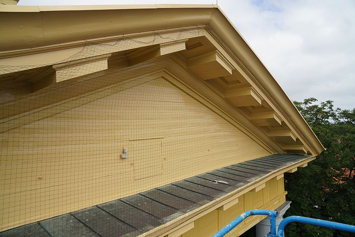A yellow building pediment covered in black bird netting, with decorative corbels and a dark shingled roof.