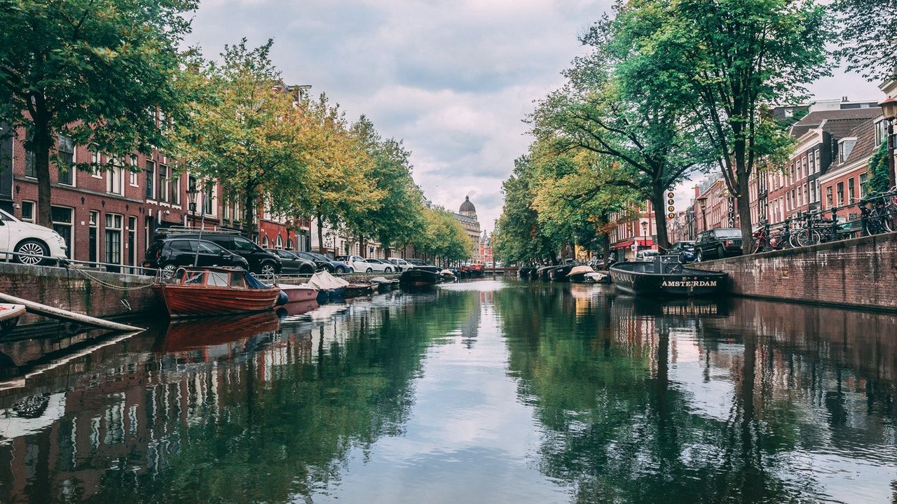 ongediertebestrijding amsterdam