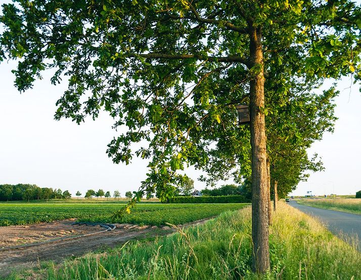 traas nature care nestkasten
