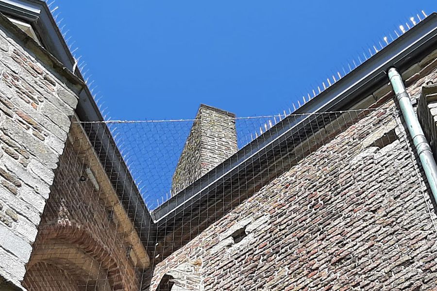 Old brick buildings with bird netting and spikes under a blue sky.