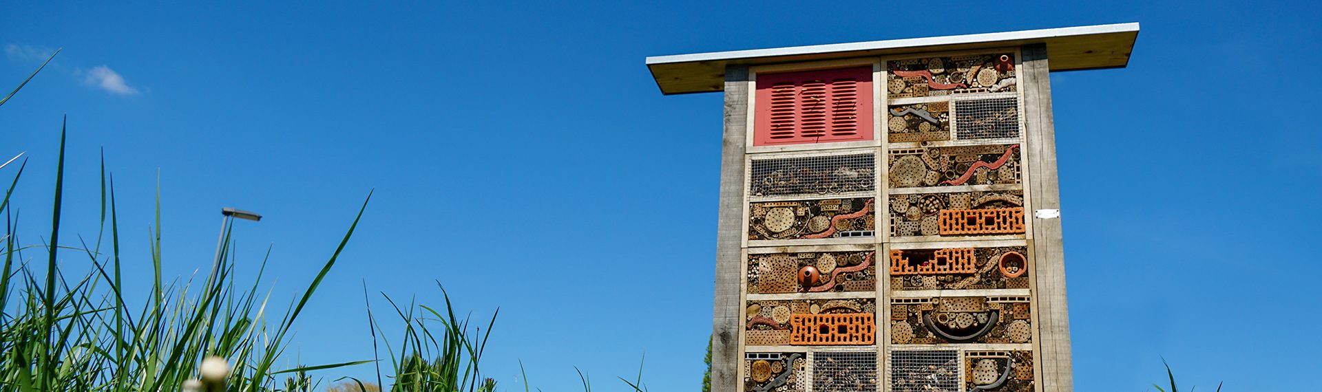 buzzle insectenhotel op maat