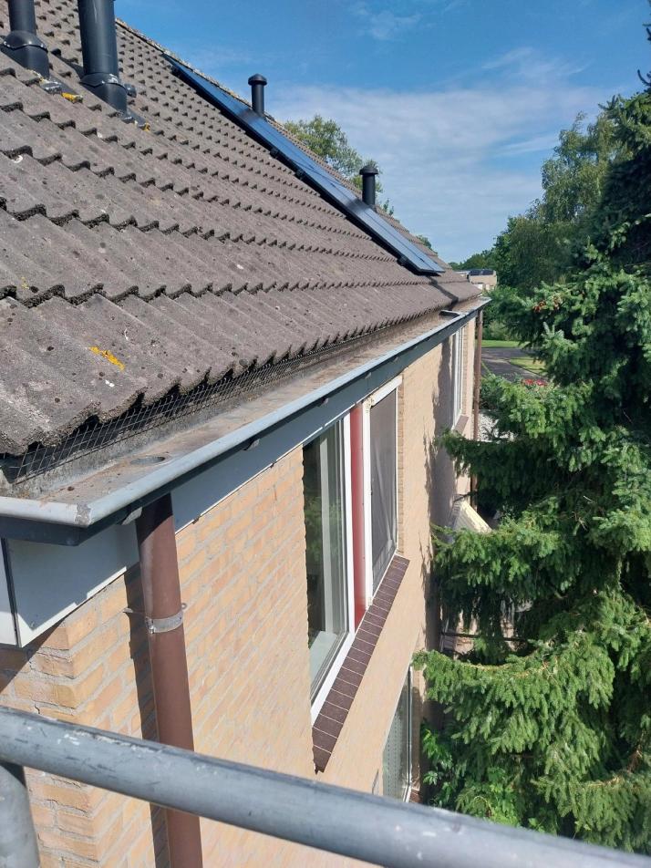 vogelschroot om vogeloverlast te voorkomen