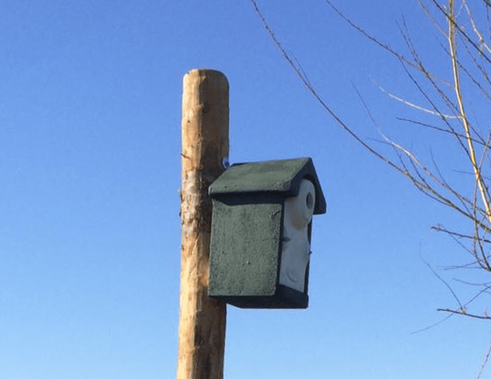 A dark green birdhouse on a wooden pole overlooks modern cabins along a canal under a clear blue sky.
