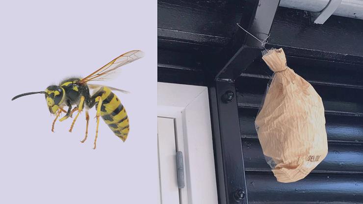 Foto (papirpose): Oluf Jørgensen