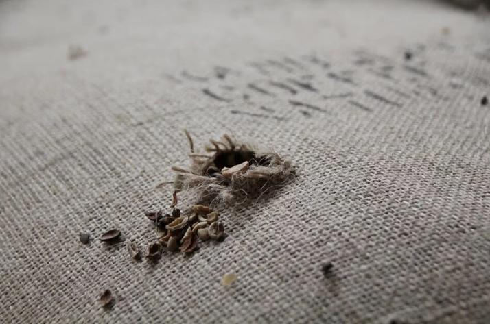 inspeção de entrada de material danificado