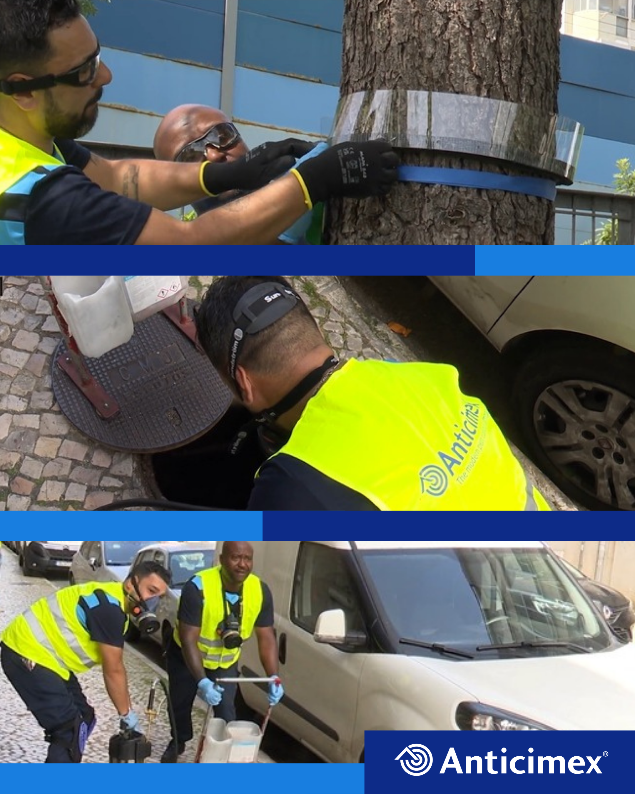 Técnicos da Anticimex a realizar vários serviços de controlo de pragas.
