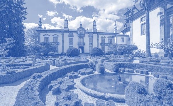 Anticimex em Vila Real