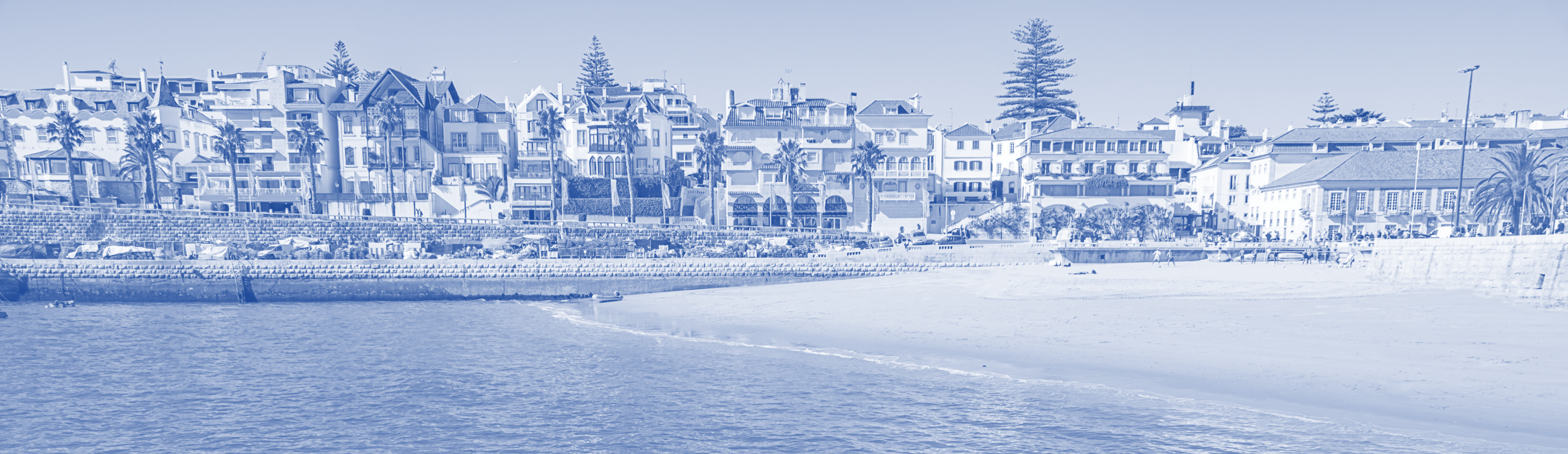 Controlo de Pragas Anticimex em Cascais