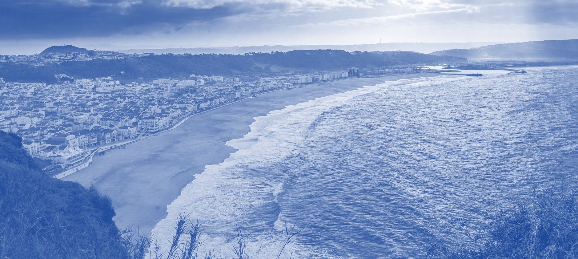 Controlo de Pragas Anticimex em Nazaré