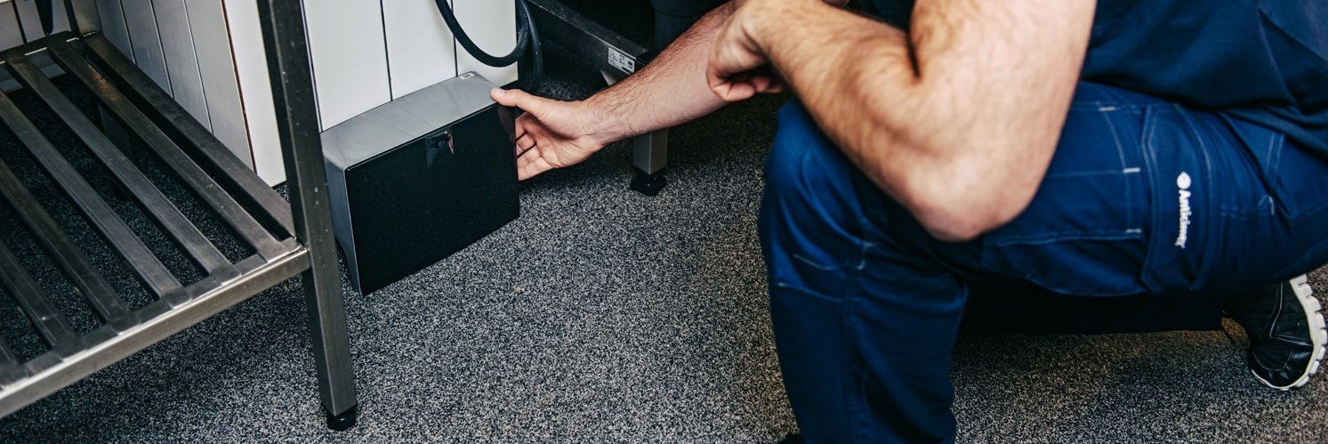 Desratização com a empresa confiável e especializada Anticimex