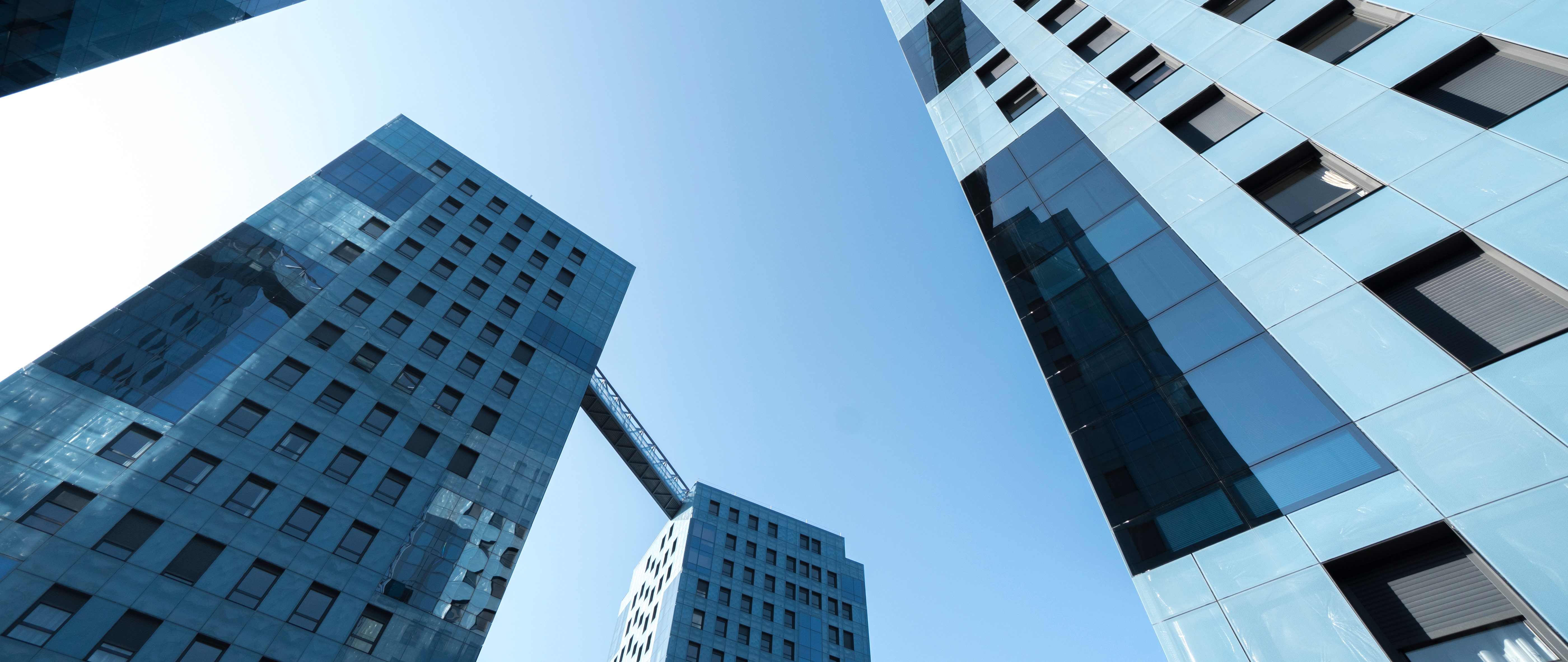 Controlo de Pragas Anticimex em Rio Tinto