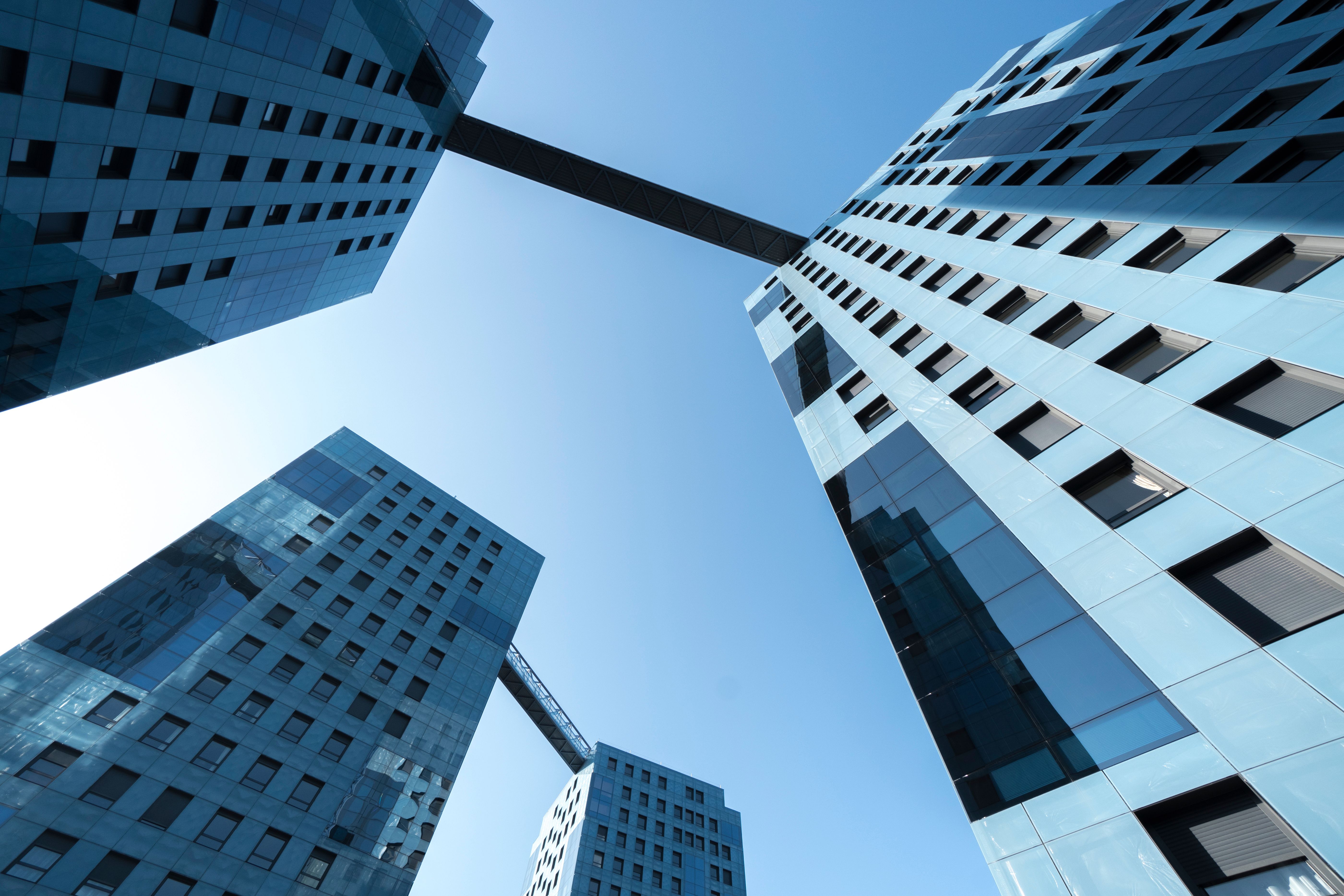 Controlo de Pragas Anticimex em Oeiras