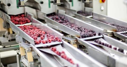 prevenir a infestação de pragas em instalações de transformação de alimentos