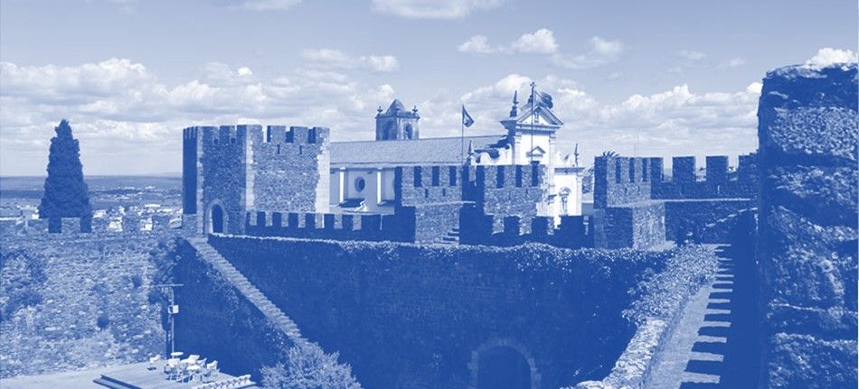 Controlo de Pragas Anticimex em Beja