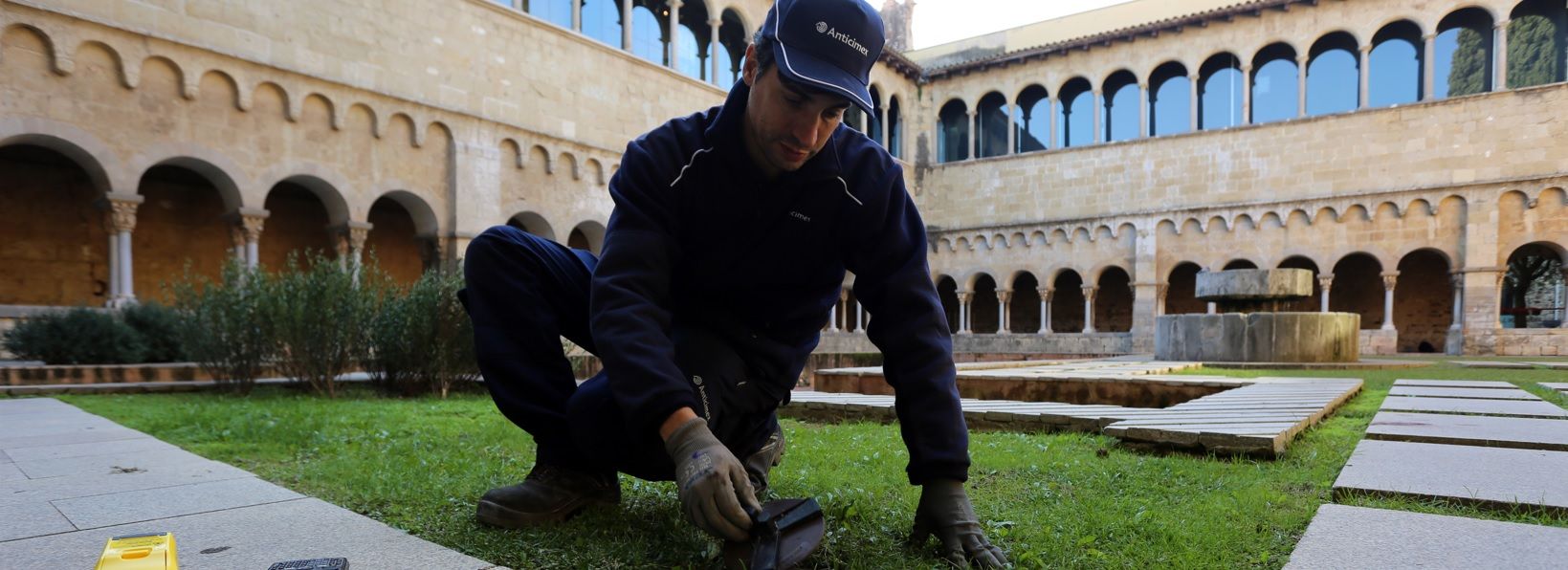 eliminar-térmitas-em-Coimbra