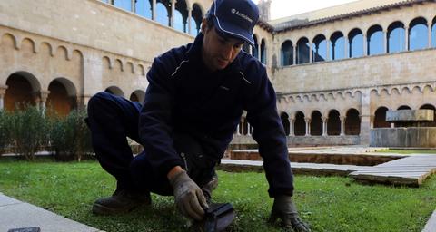 eliminar-térmitas-em-Coimbra