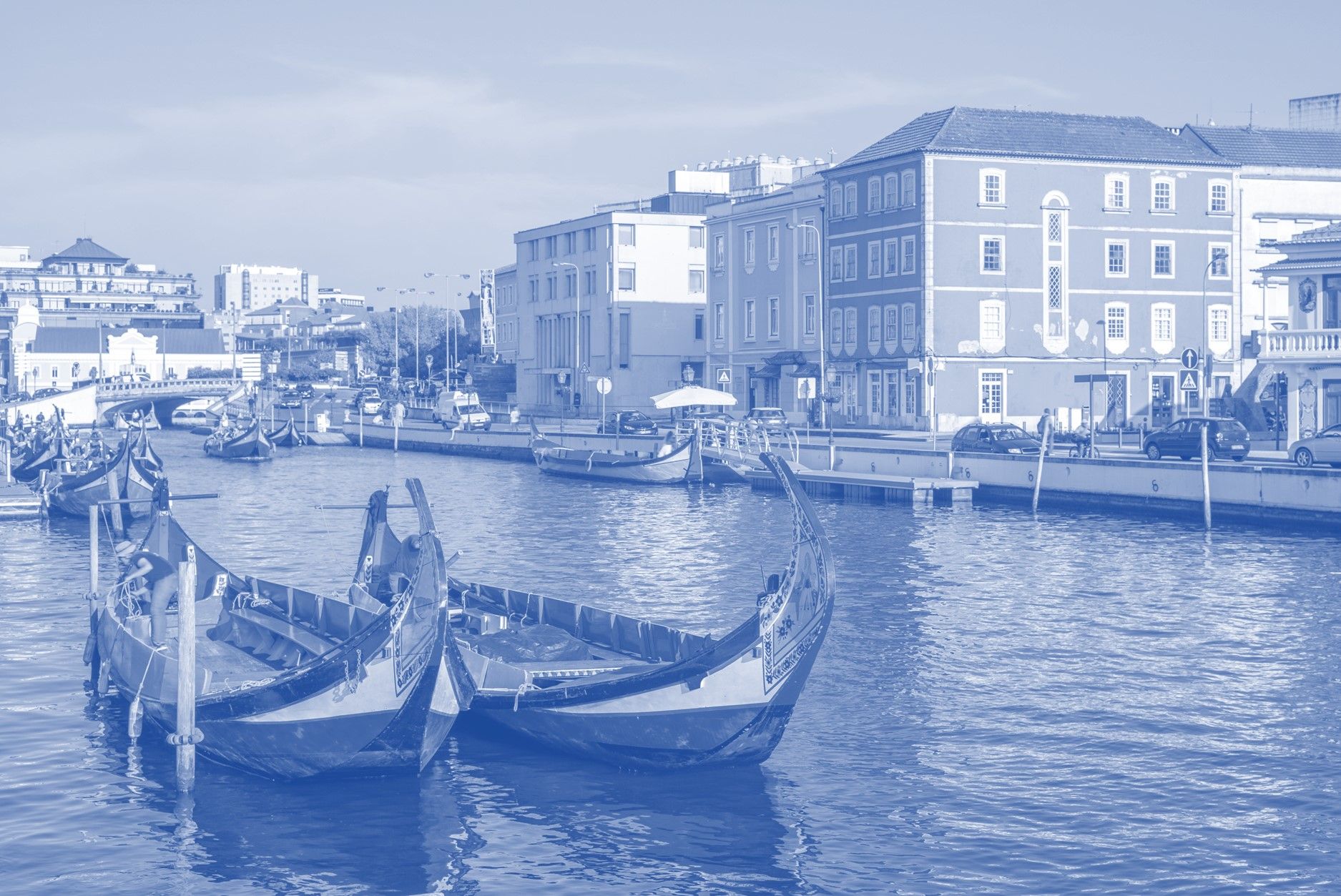 Controlo de Pragas Anticimex em Aveiro