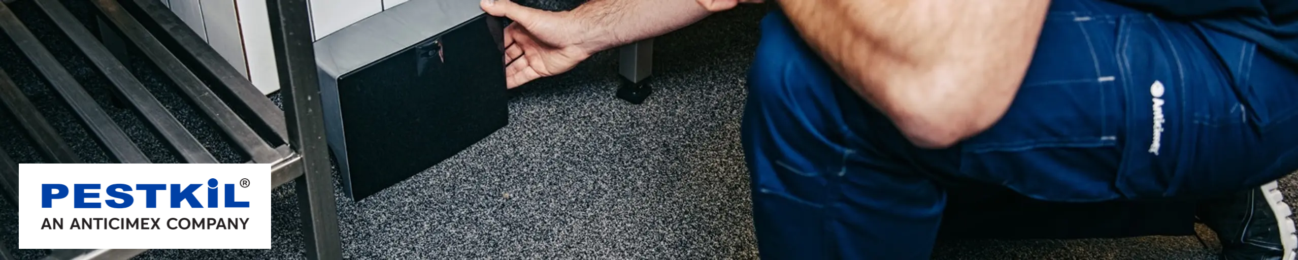 Desratização com a empresa confiável e especializada Anticimex