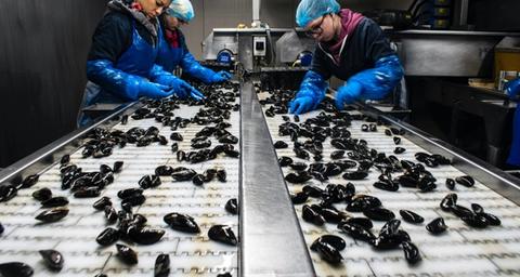 gestão integrada das pragas indústria alimentar