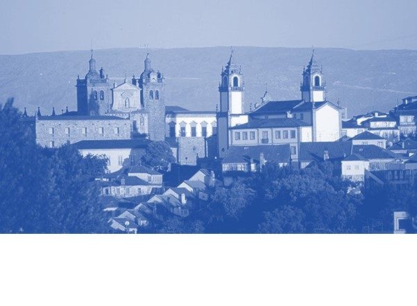 Controlo de Pragas Anticimex em Viseu