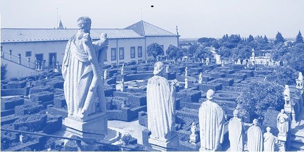 Anticimex em Castelo Branco