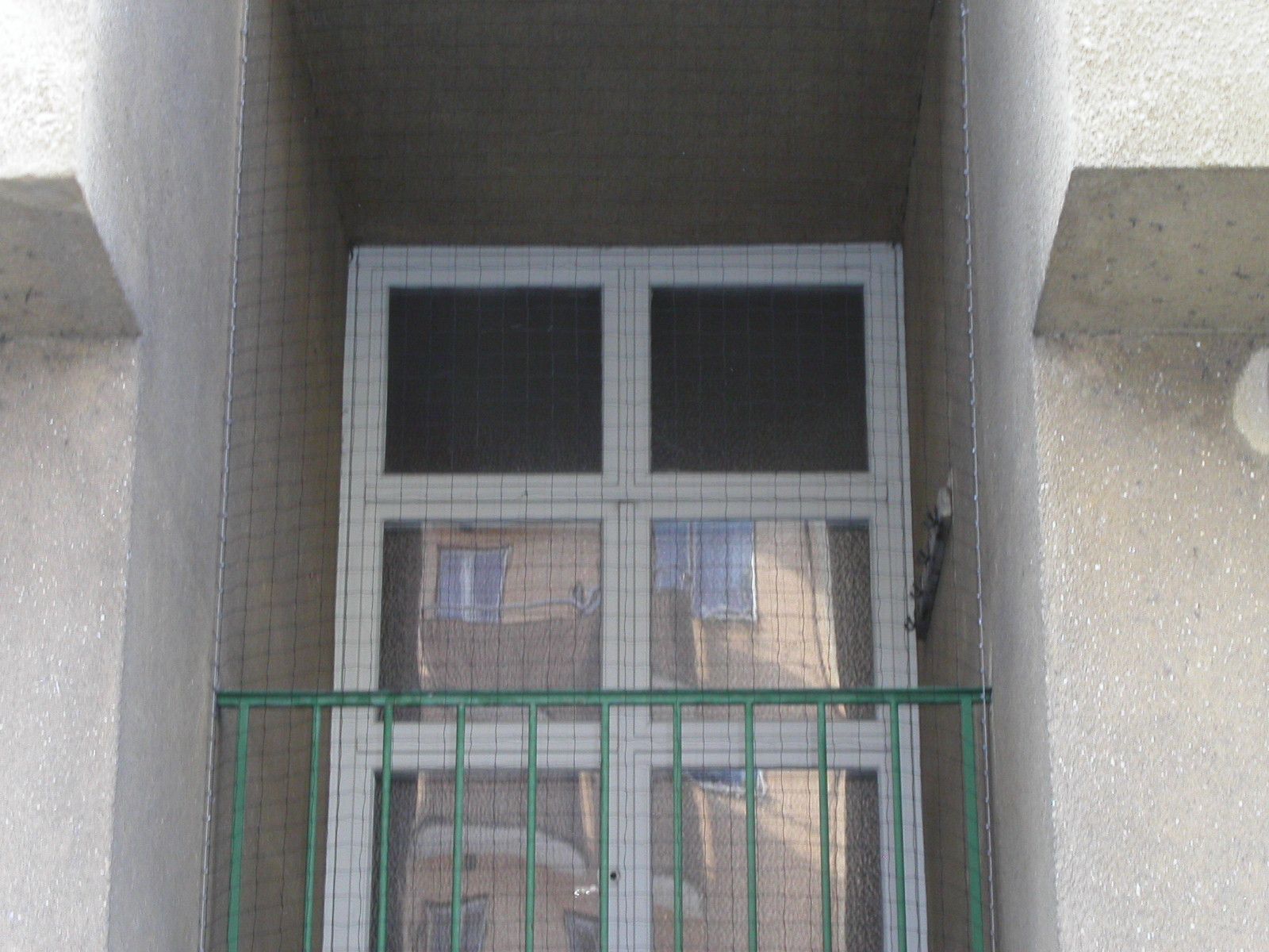 bird prevention methods