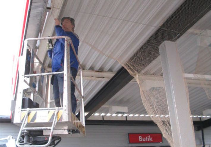 Bird Proofing Using Chain Residential Bird Control Services Singapore - Anticimex