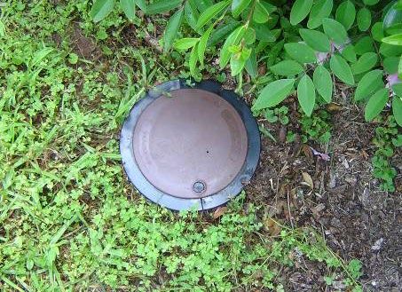 bait monitoring termites