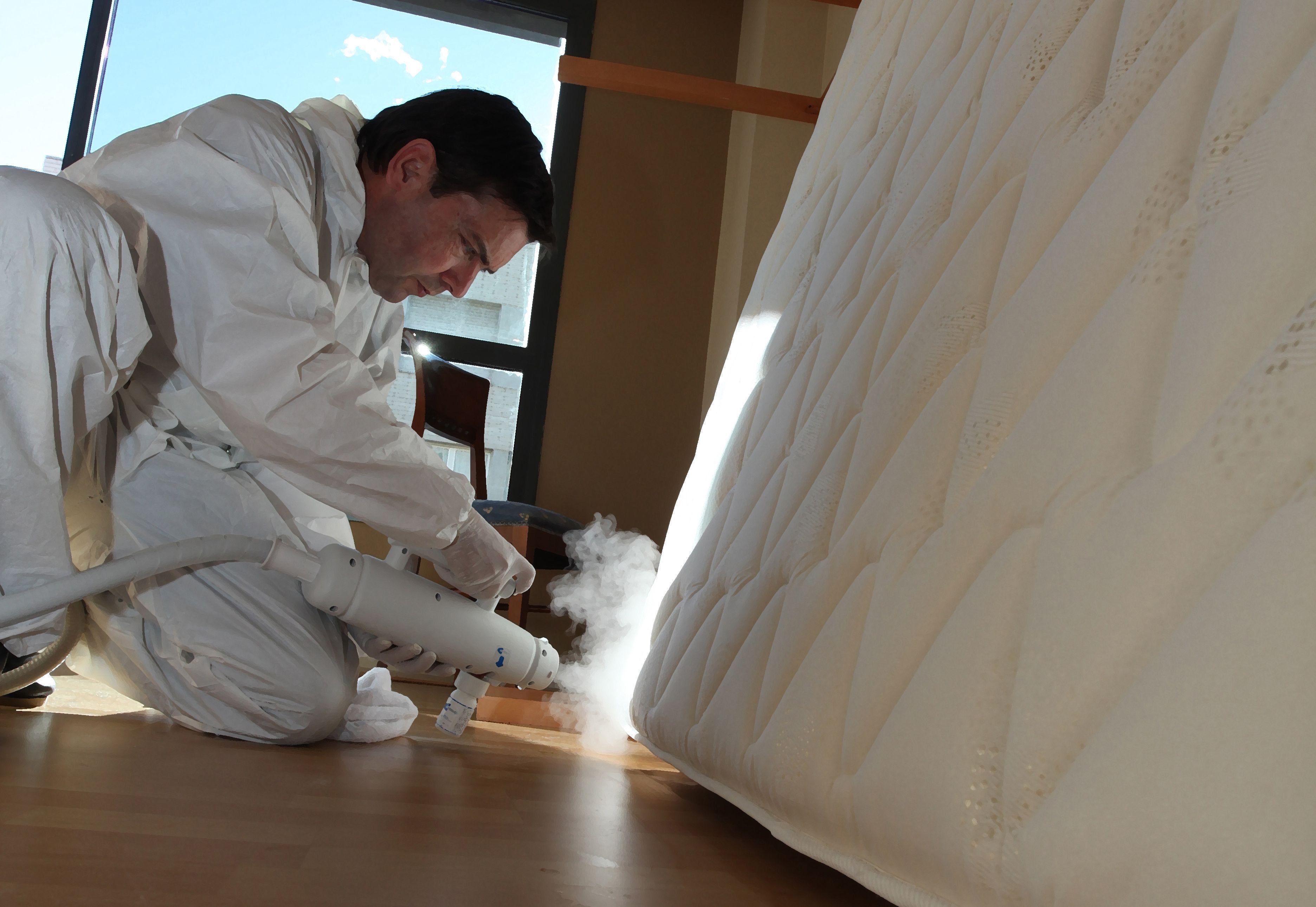 bed bug control hospitality industry