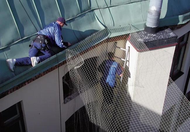 Bird Control On Building Residential Bird Control Services Singapore - Anticimex