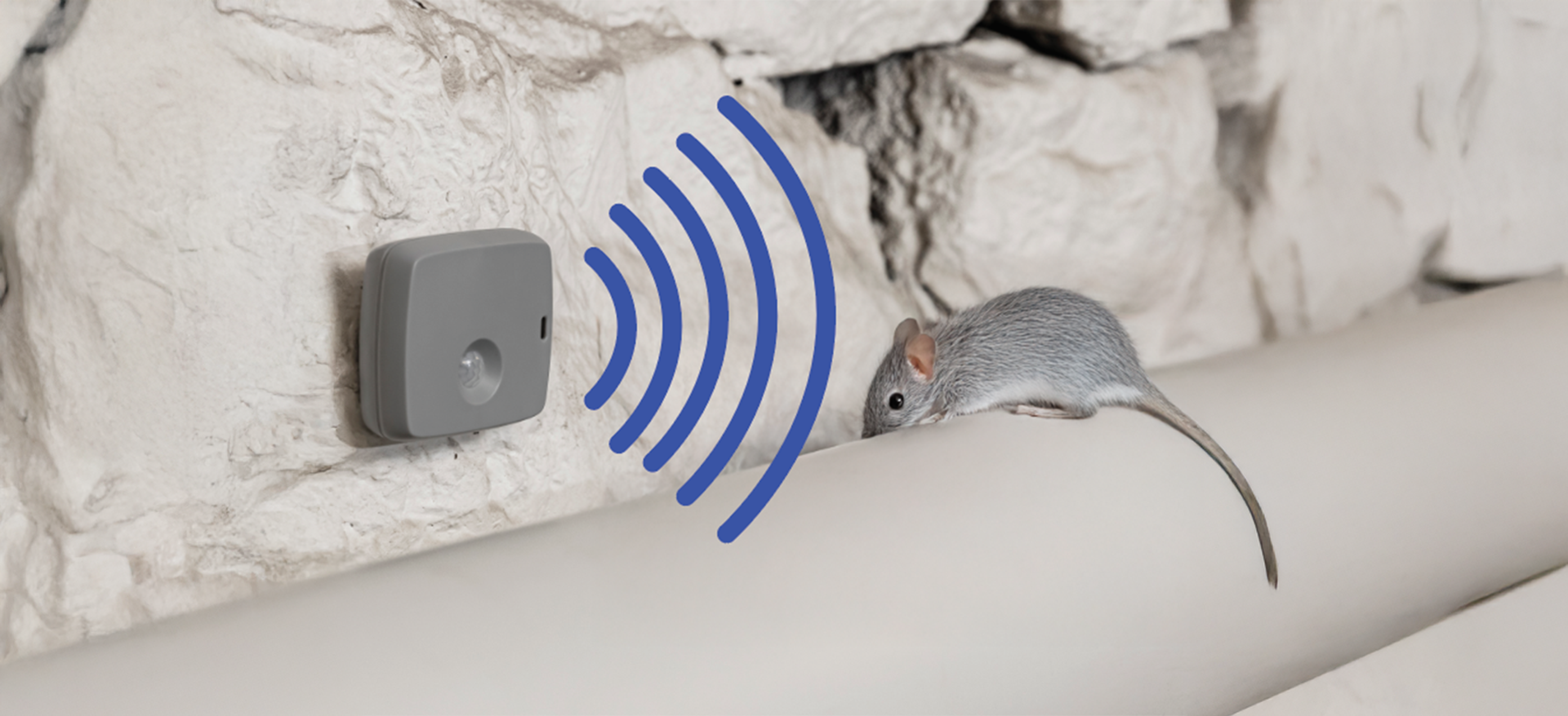 Smarter Protection Starts Here - rodent control