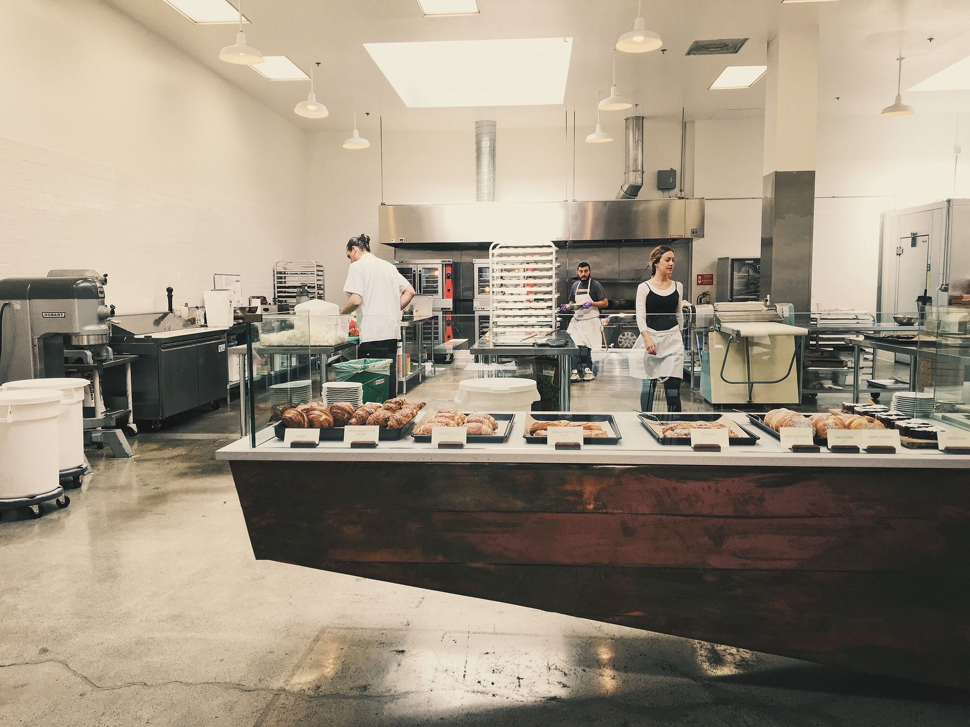 Critical Pest-Prone Areas in Food Facilities