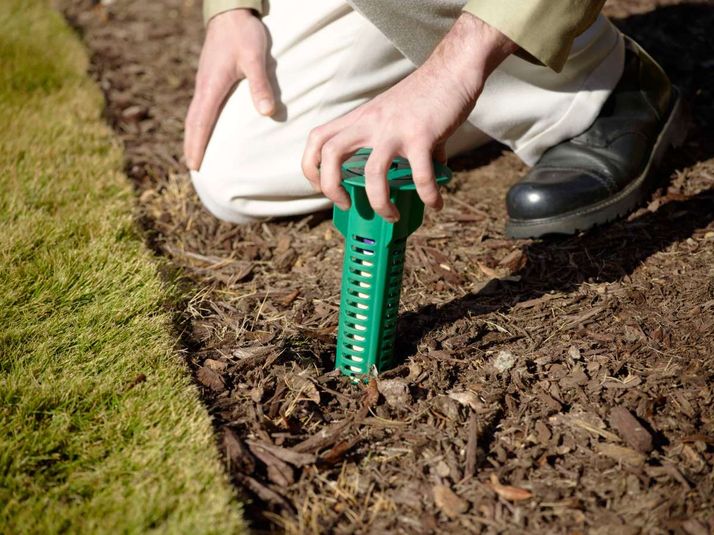 termite treatment