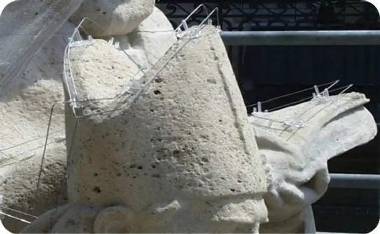 electic wire birdproofing system