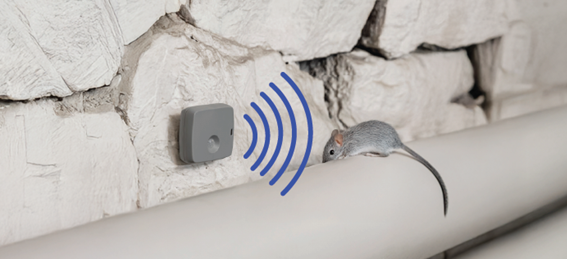 Smarter Protection Starts Here - rodent control