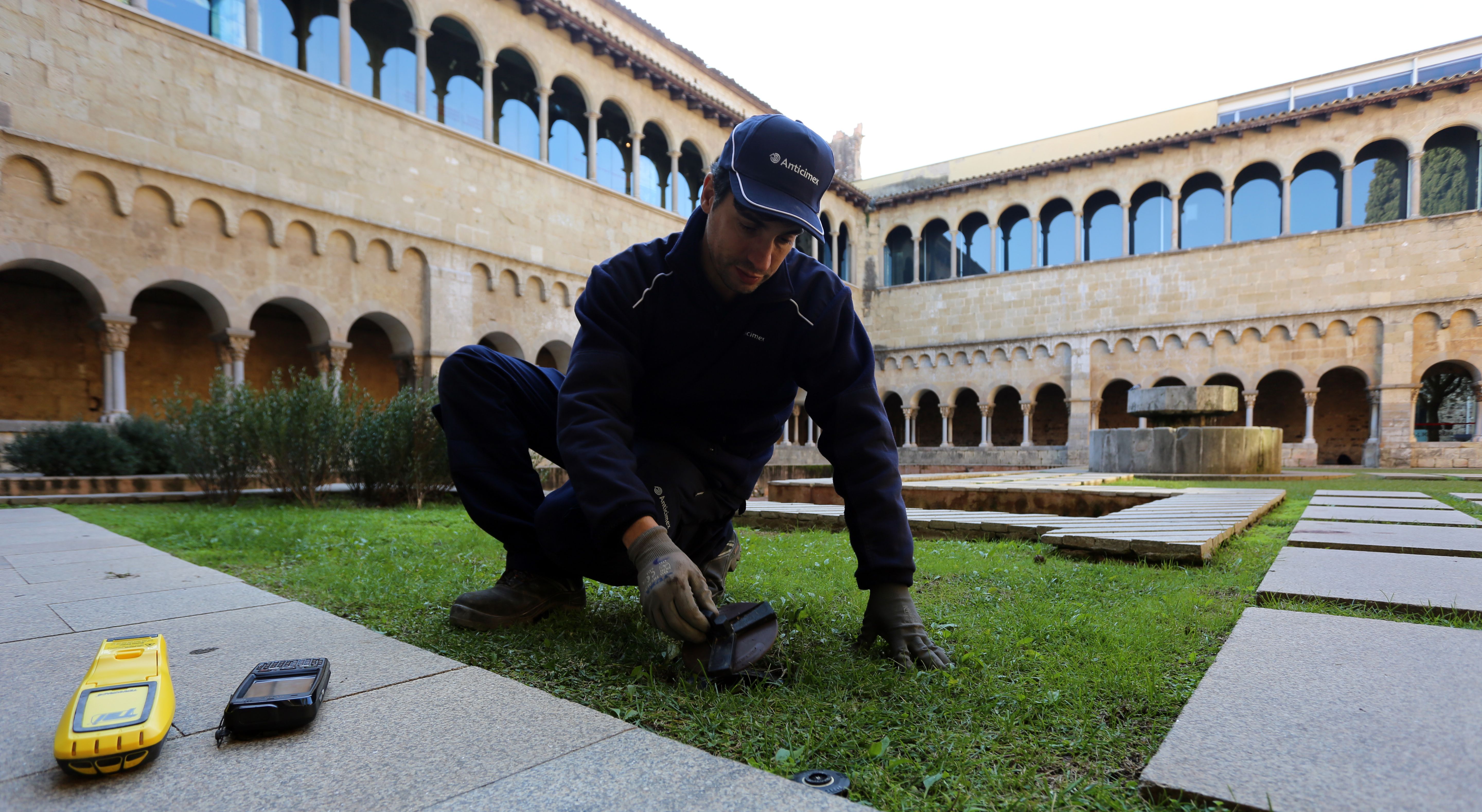 real-time termite monitoring