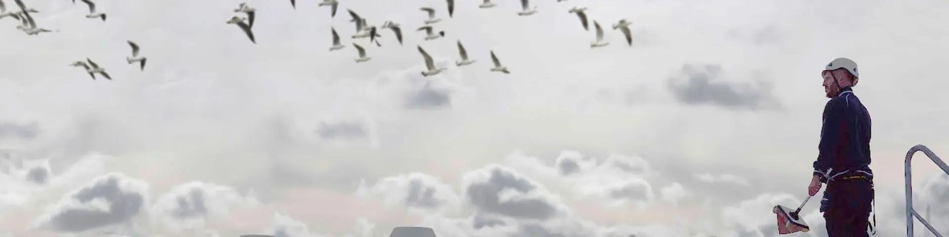 anticimex bird repellent solution