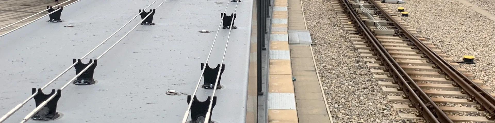 Safe and effective bird wire for birdproofing