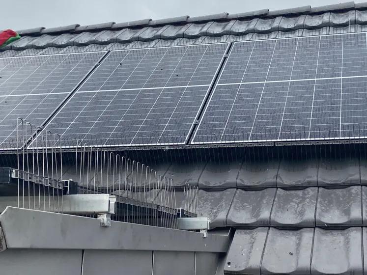 Visual Bird Deterrent