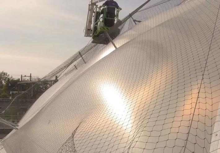 Bird Protection for Solar Panels - Pest Control - Anticimex