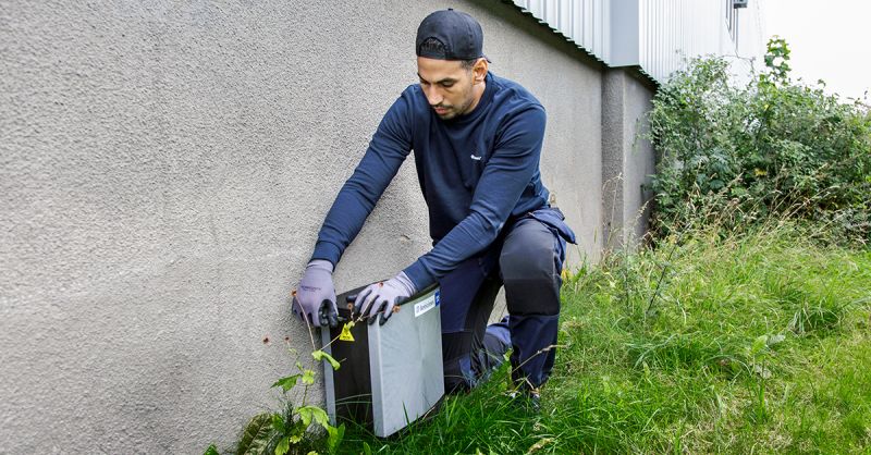 Effective Pest Control Begins with Infrastructural Prevention