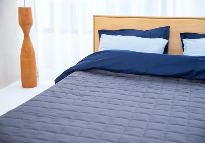 Professional Bed Bugs Control