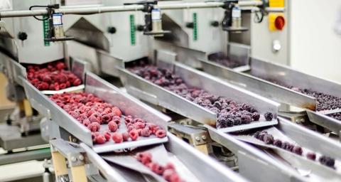 How to Prevent Pest Infestations in Food Facilities